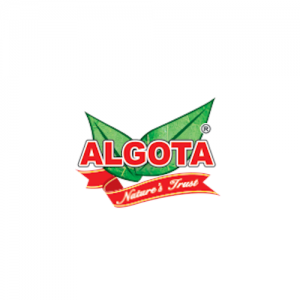Algota Algota